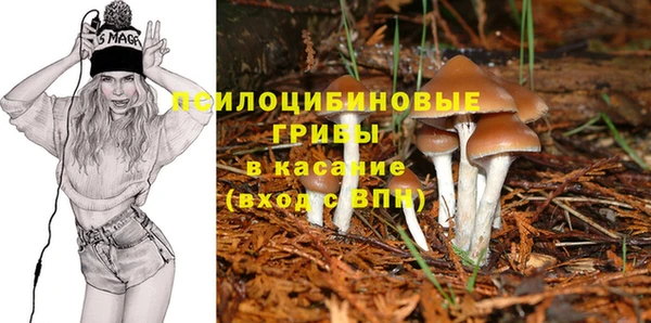 мдпв Навашино