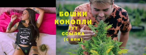 мдпв Навашино