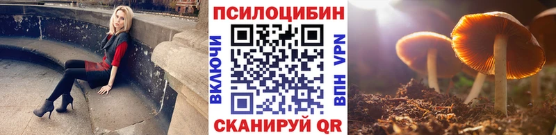 Галлюциногенные грибы MAGIC MUSHROOMS  Купить где  Дзержинский 